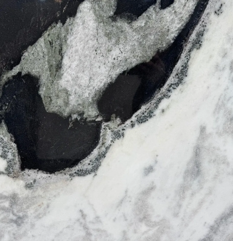 DALMATA
